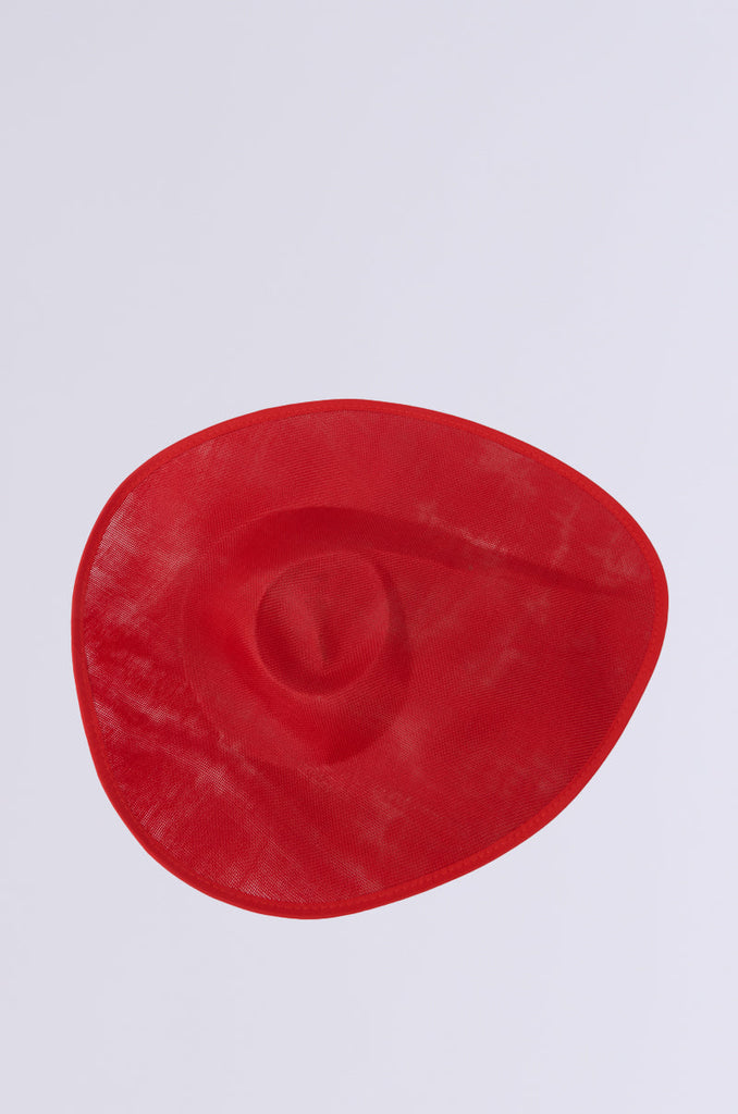 BLUSHING EDITORIAL CLIP ON HAT
