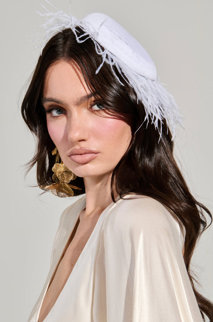 FEATHER FAN CLIP ON HAT
