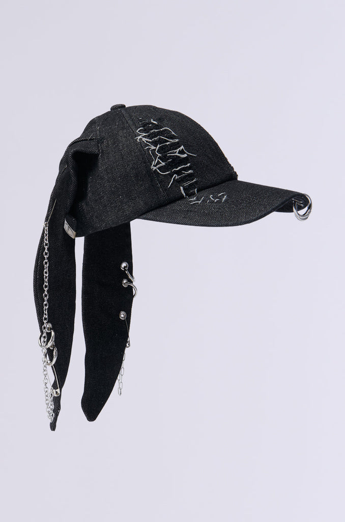 AERIAL VIEWS HAT