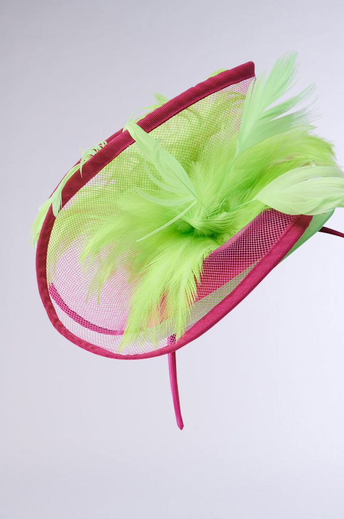 TO THE DERB FASCINATOR
